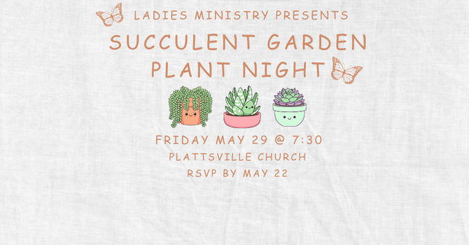 Succulent Garden Plant Night