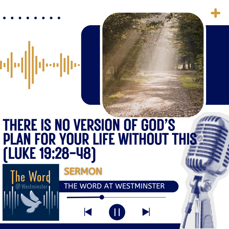 There is No Version of God’s Plan For Your Life Without This