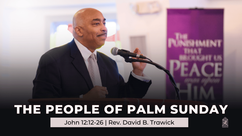 The People of Palm Sunday