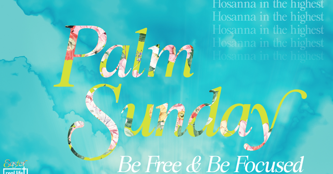 Be Free and Be Focused