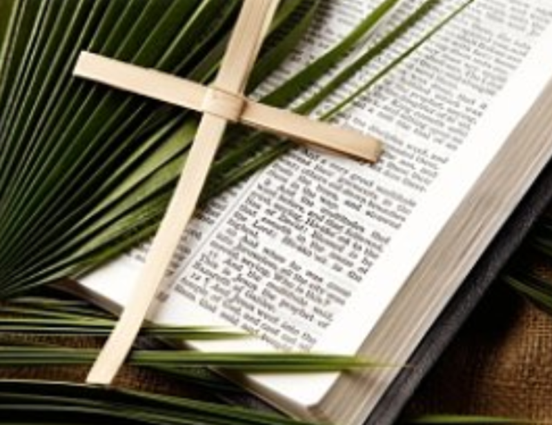 Palm Sunday - The King Who Divides the Crowd