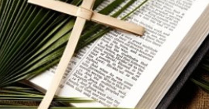 Palm Sunday - The King Who Divides the Crowd