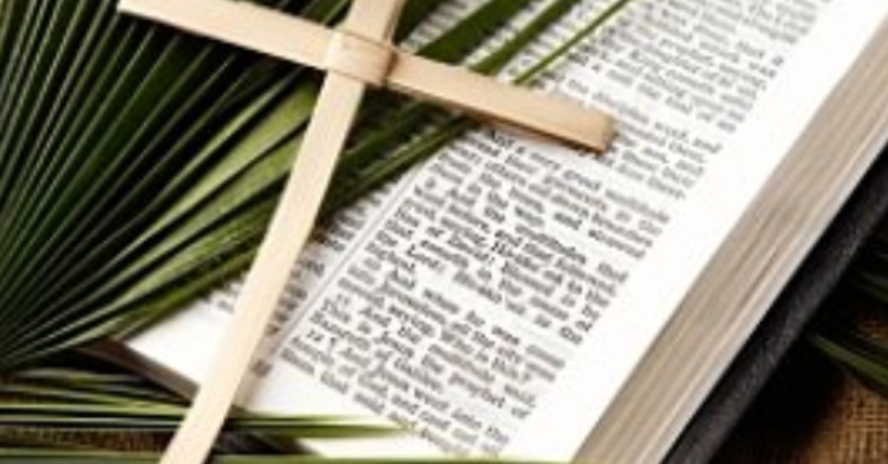 Palm Sunday - The King Who Divides the Crowd