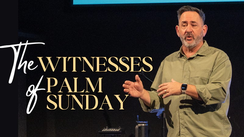 Eyewitness Accounts | Matthew 21:8-11