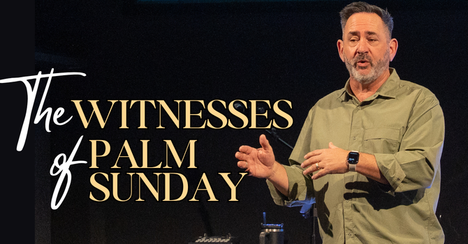 Eyewitness Accounts | Matthew 21:8-11