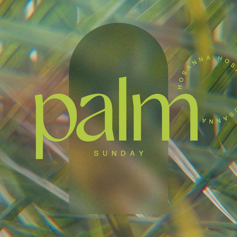 What Palm Sunday Teaches Us