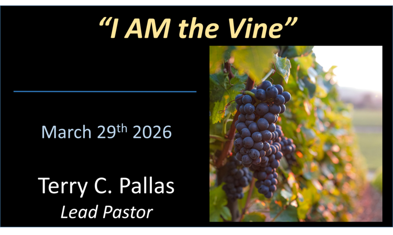"I Am" – The Vine