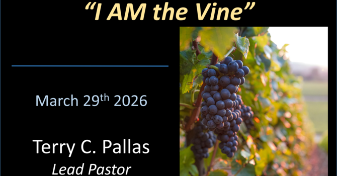 "I Am" – The Vine