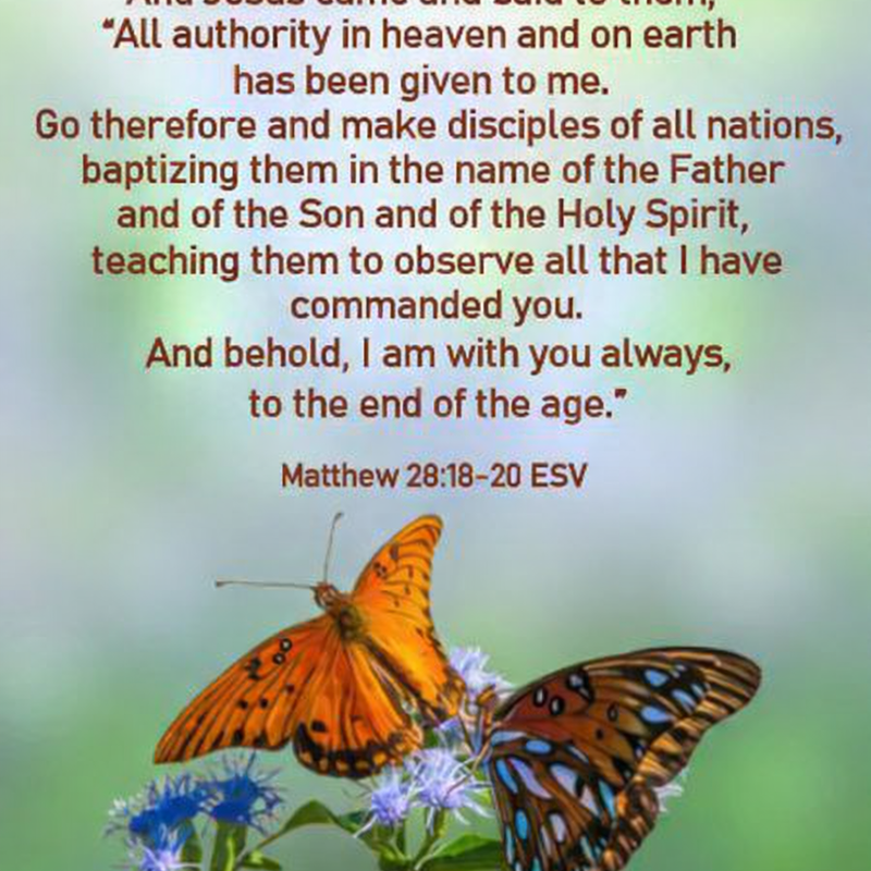 Finding My Purpose in his Journey