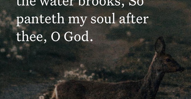 Desiring Gods Presence  image