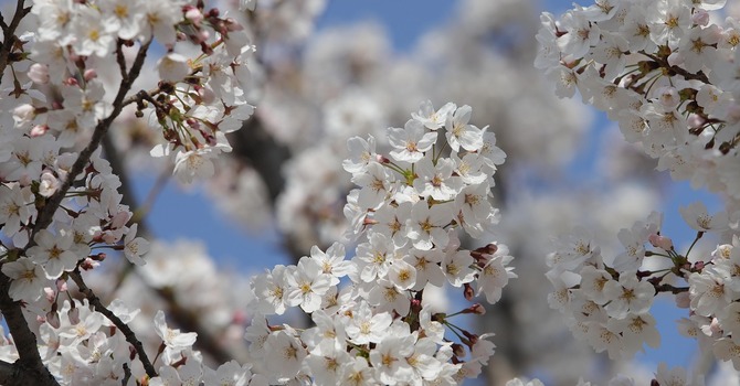 March 31, 2026 Devotion image