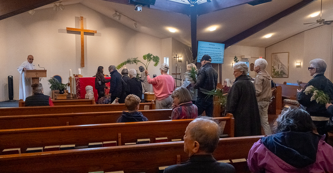 Palm Sunday at St. Anne's