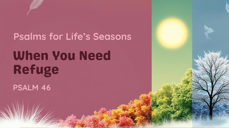 When You Need Refuge