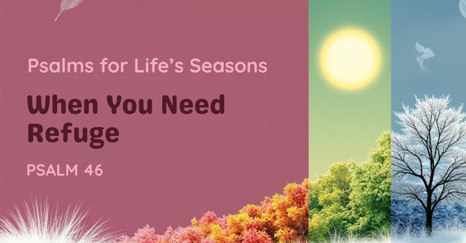 When You Need Refuge