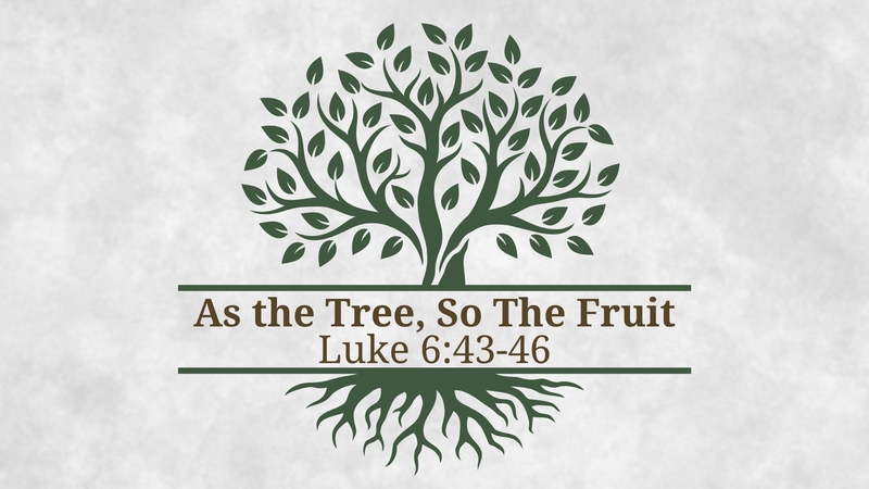 As The Tree, So The Fruit