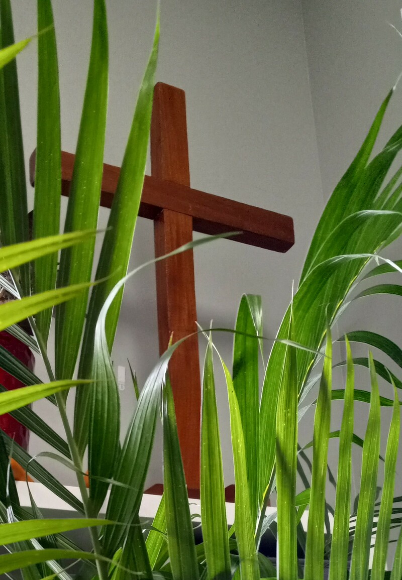 Palm Sunday: Hosanna, God Save Us, God Has Saved Us