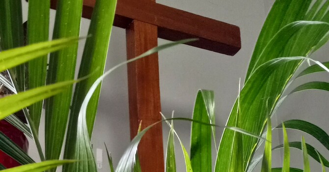 Palm Sunday: Hosanna, God Save Us, God Has Saved Us