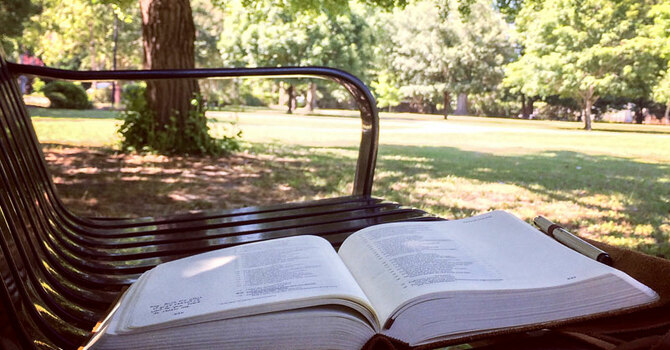Bible Study in the Park 
