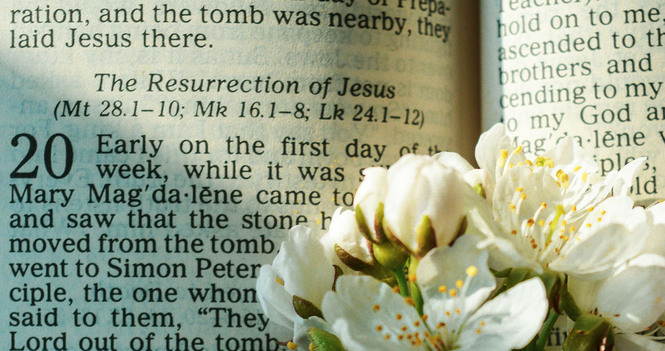 Big Words: Love, Reconciliation, Humility