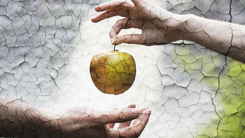 Restored Vision (12)