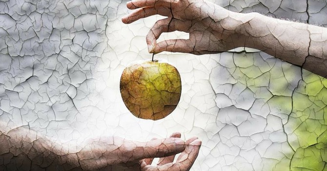 Restored Vision (12)