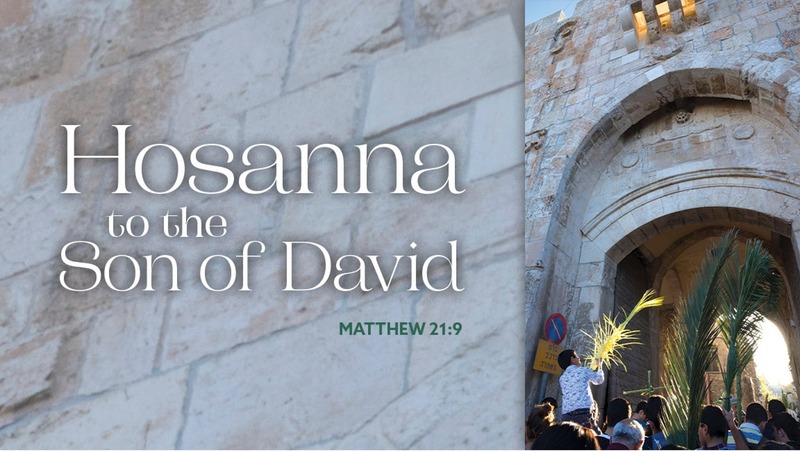 Palm Sunday