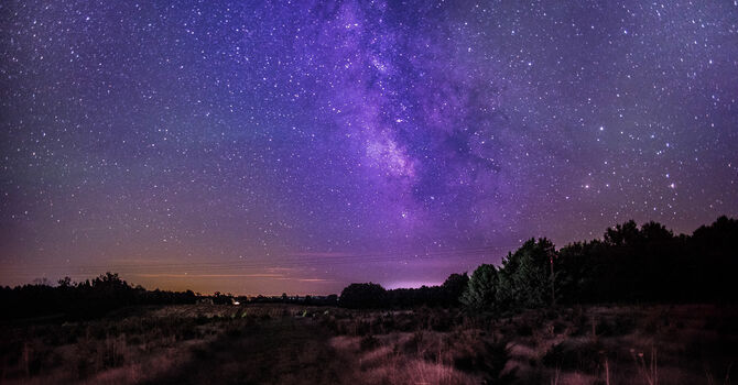 March is a Busy Month image