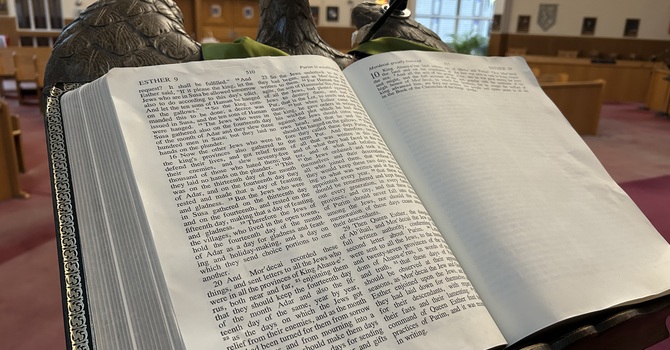 Deacon Shawn's Study Break