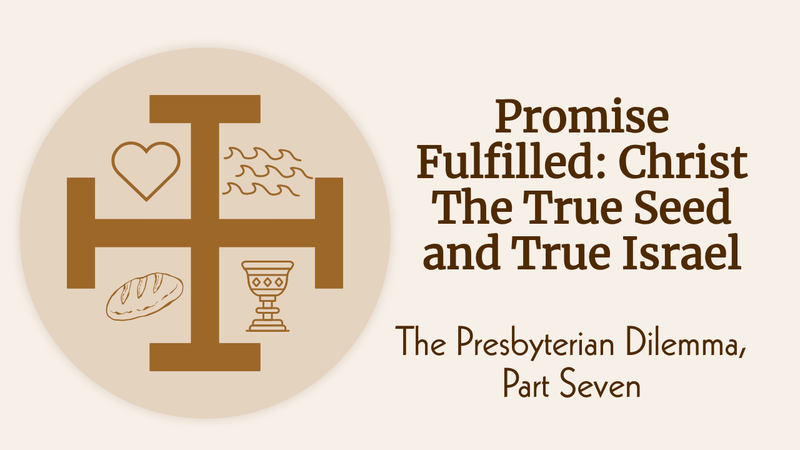 Promise Fulfilled: Christ, the True Seed and True Israel