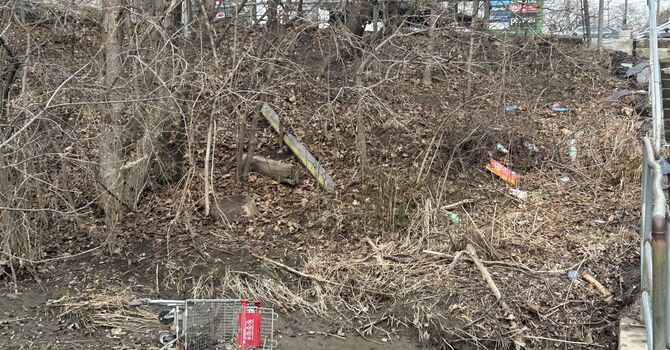 Earth Day Park Cleanup