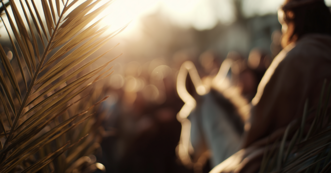 From Fan to Follower