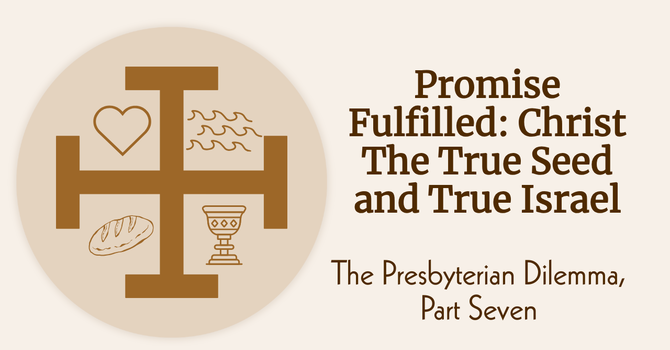 Promise Fulfilled: Christ, the True Seed and True Israel