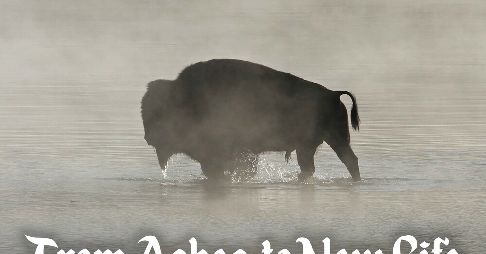 Easter Vigil - April 4, 2026