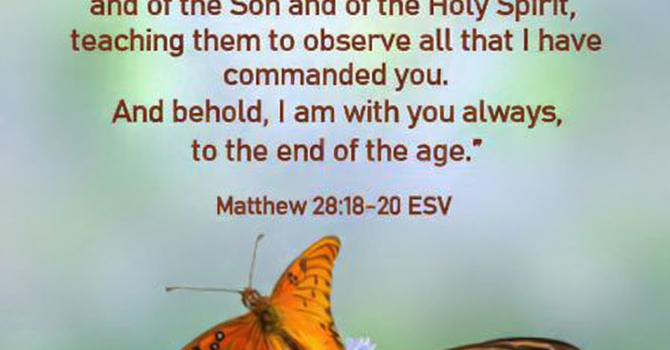 Finding My Purpose in his Journey