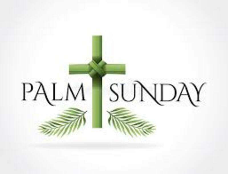 Palm Sunday-Who Is Jesus To You?