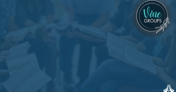 Vine Groups Update image