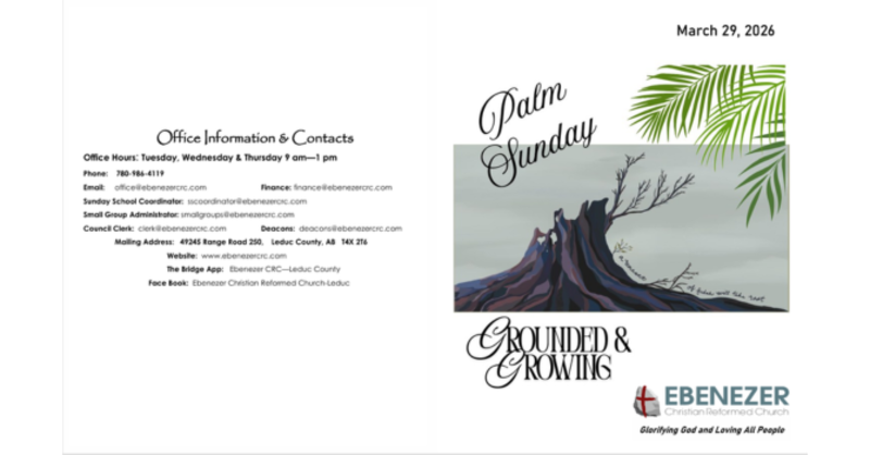 A Palm Sunday Sermon