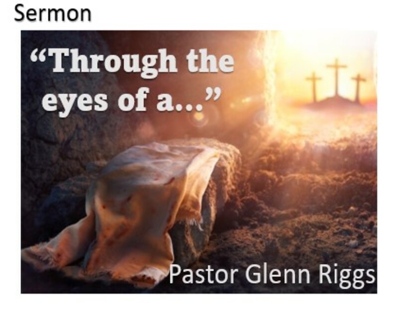  "Through the Eyes of a..."