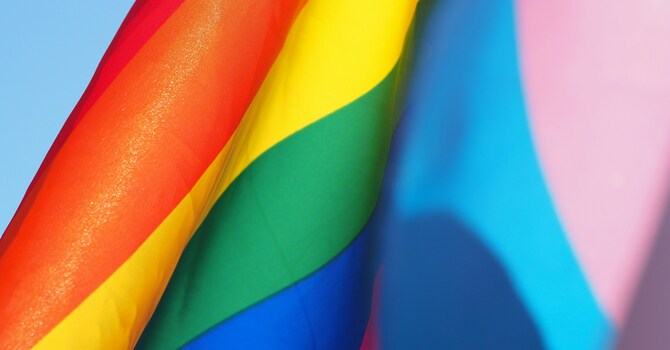 Transgender Day of Visibility image