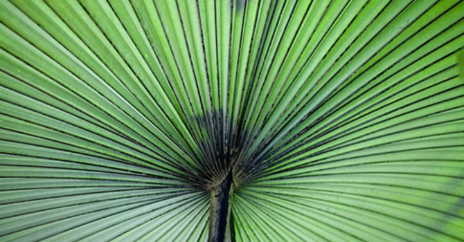 Worship Service- March 29, 2026 image