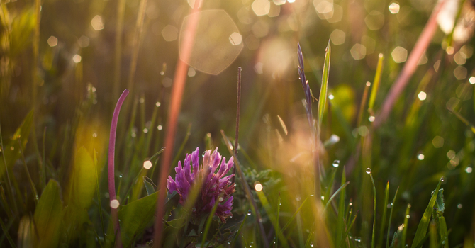 This life that remains a miracle