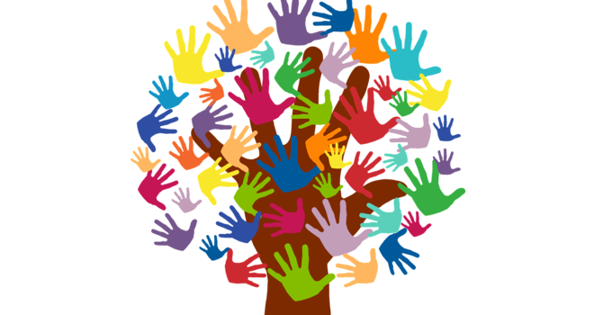 Volunteer Appreciation