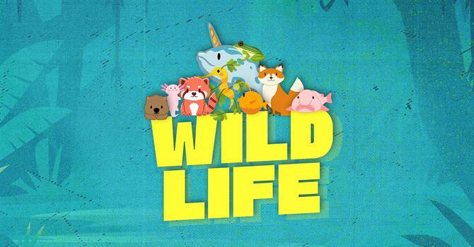 Vacation Bible School