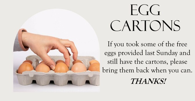 Egg Cartons