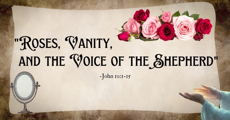 "Roses, Vanity, and the Voice of the Shepherd"