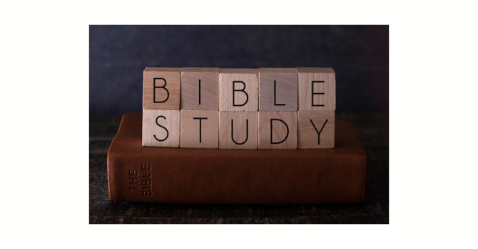Bible Study