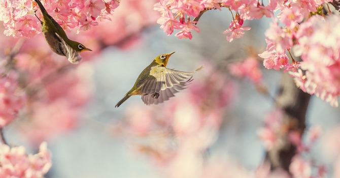 April 1, 2026 Devotion image