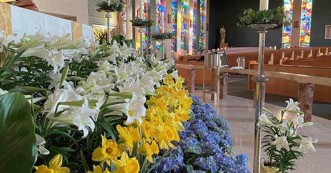 3rd Sunday of Easter image