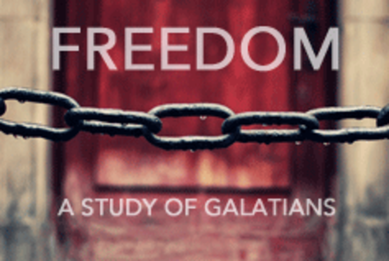 Set Free from the Law