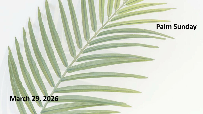 Sermon: Lord, Are We Able?